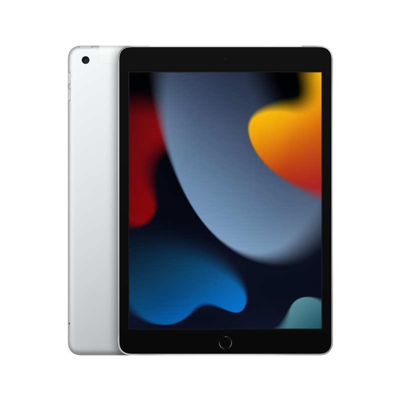 Apple iPad 4G LTE 256 GB 25.9 cm (10.2") 3 GB Wi-Fi 5 (802.11ac) iPadOS 15 Silver