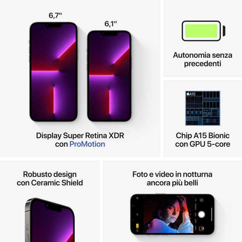 Apple iPhone 13 Pro Max 17 cm (6.7") Doppia SIM iOS 15 5G 256 GB Grafite