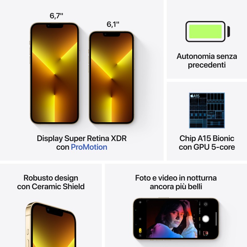 Apple iPhone 13 Pro Max 17 cm (6.7") Doppia SIM iOS 15 5G 256 GB Oro