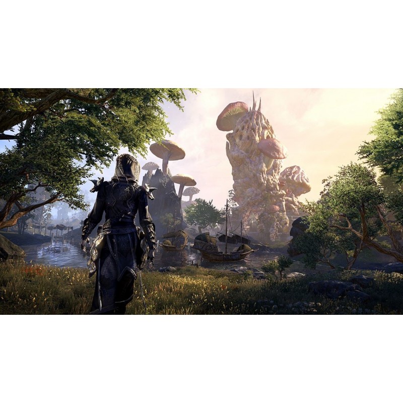 Microsoft The Elder Scrolls Online Morrowind, Xbox One Standard Anglais