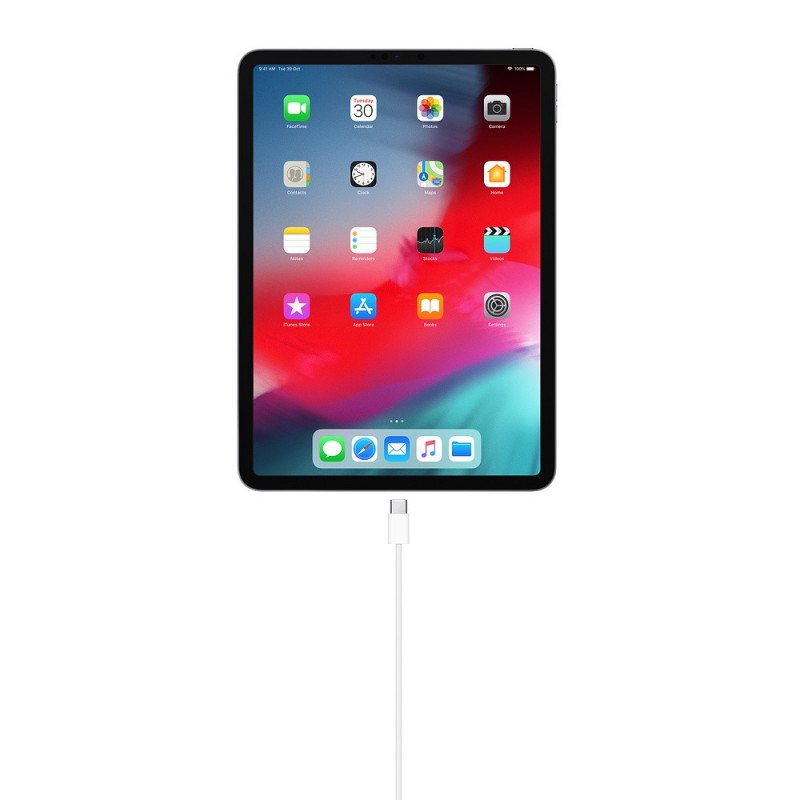 Apple Cavo di ricarica USB-C (1 m)