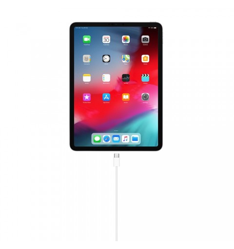 Apple Cavo di ricarica USB-C (1 m)