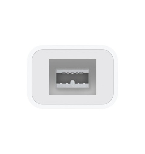 Apple Thunderbolt - FireWire Adapter Schnittstellenkarte Adapter