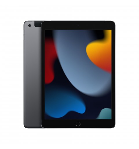 Apple iPad 4G LTE 256 GB 25,9 cm (10.2 Zoll) 3 GB Wi-Fi 5 (802.11ac) iPadOS 15 Grau