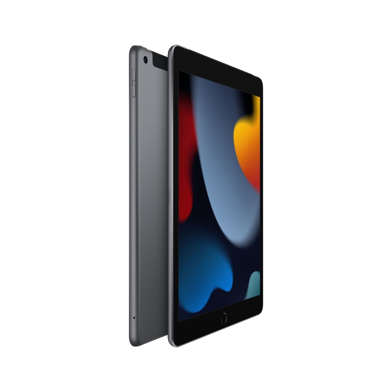 Apple iPad 4G LTE 256 GB 25,9 cm (10.2") 3 GB Wi-Fi 5 (802.11ac) iPadOS 15 Gris