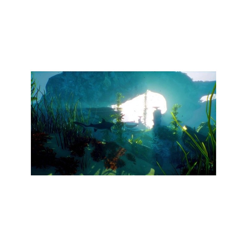 Koch Media Maneater Standard ITA Xbox Series X
