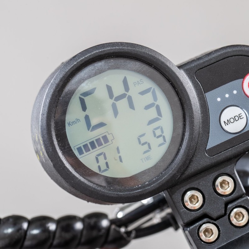 EMG Velociptor Climb ES110OR 25 kmh Verde