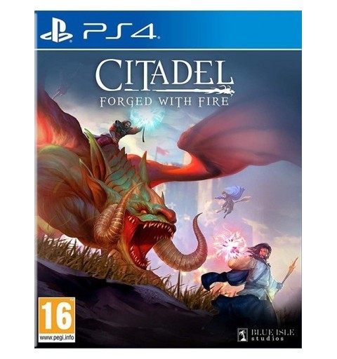 Koch Media Citadel Forged with Fire, PS4 Standard PlayStation 4