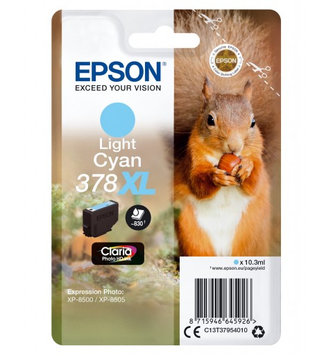 Epson Squirrel Singlepack Light Cyan 378XL Claria Photo HD Ink