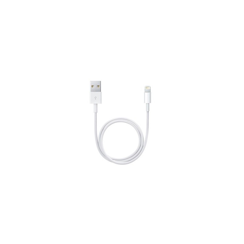 Apple Cavo da Lightning a USB (0.5 m)