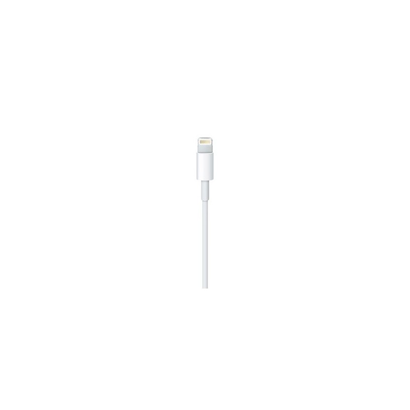 Apple Cavo da Lightning a USB (0.5 m)