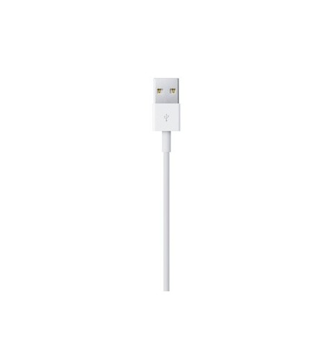 Apple Cavo da Lightning a USB (0.5 m)