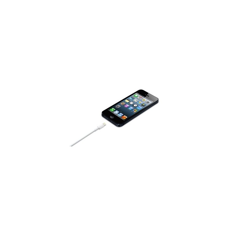 Apple Cavo da Lightning a USB (0.5 m)