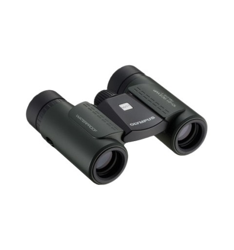 Olympus 10x21 RC II WP binocular Black
