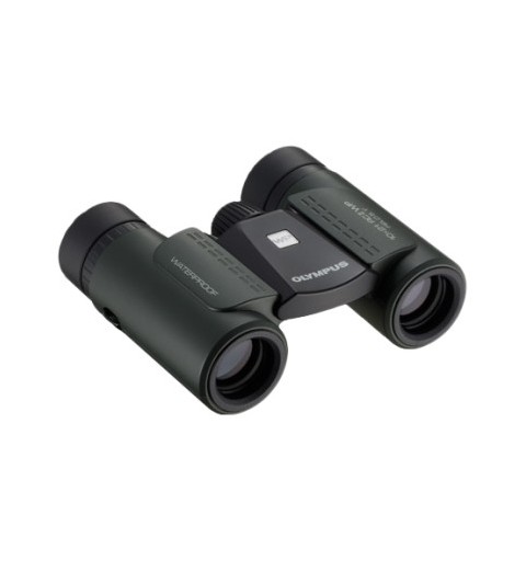 Olympus 10x21 RC II WP binocular Negro