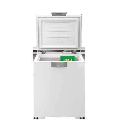 Beko HS221530N Industrieller Kühl Gefrierschrank Kühltruhe 205 l Freistehend F