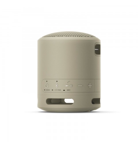Sony SRS-XB13 - Speaker Bluetooth® portatile, resistente con EXTRA BASS™, Tortora