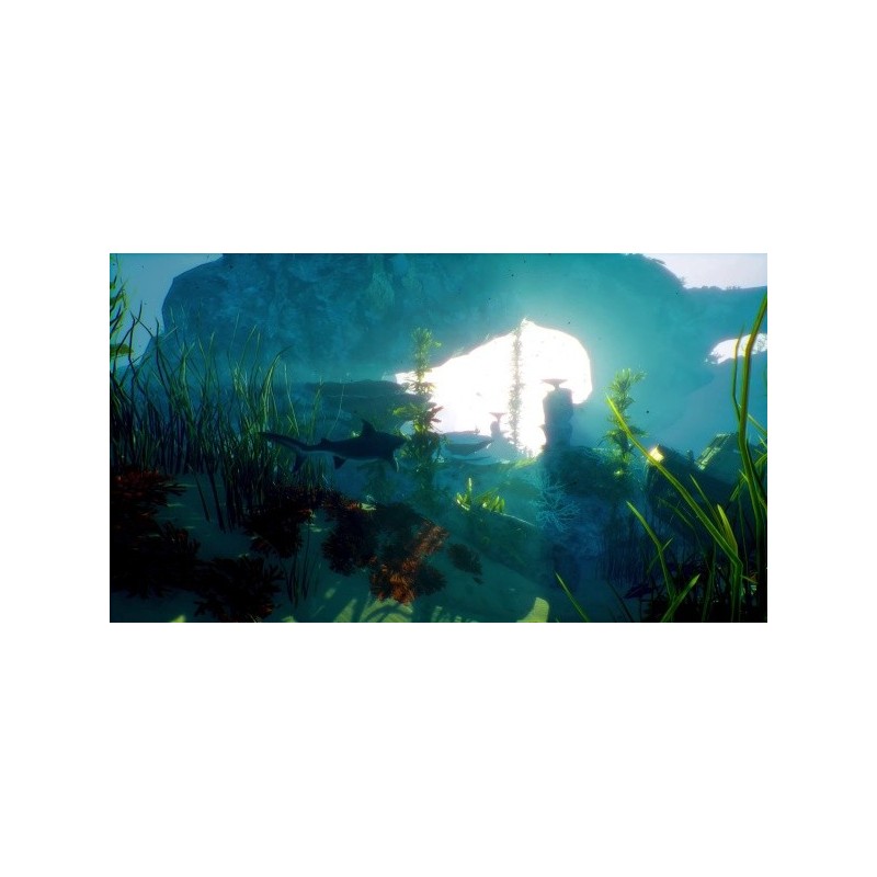 Koch Media Maneater Day One Edition Day One (Primer día) Nintendo Switch