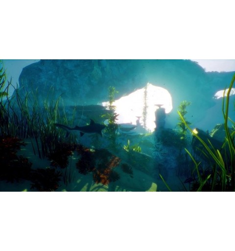 Koch Media Maneater Day One Edition Day One (Primer día) Nintendo Switch