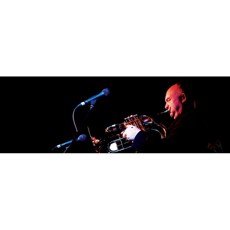 RØDE M1 microphone Noir Microphone de scène direct