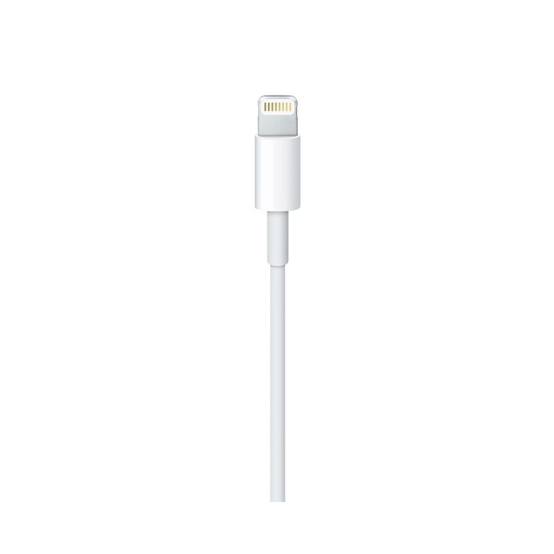 Apple MD818ZM A lightning cable 1 m White