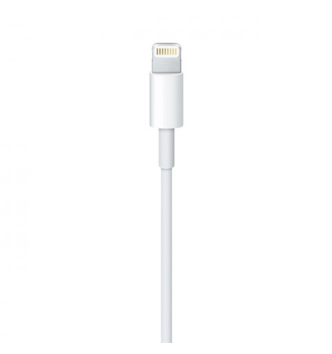Apple MD818ZM A câble Lightning 1 m Blanc