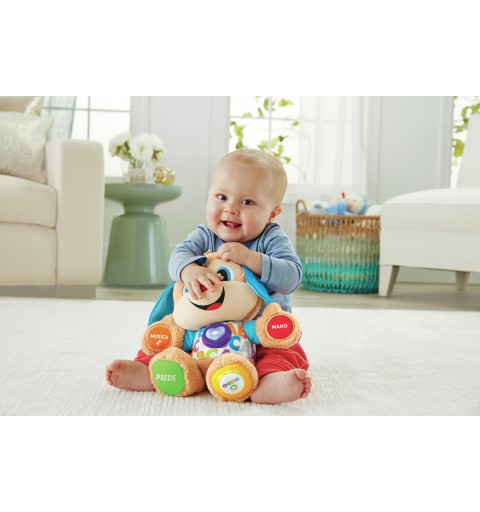 Fisher-Price FPM51 learning toy