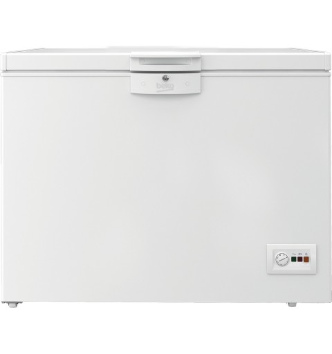 Beko HSA24540N commercial refrigerator freezer Chest freezer 230 L Freestanding E