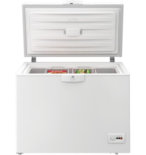 Beko HSA24540N Industrieller Kühl Gefrierschrank Kühltruhe 230 l Freistehend E