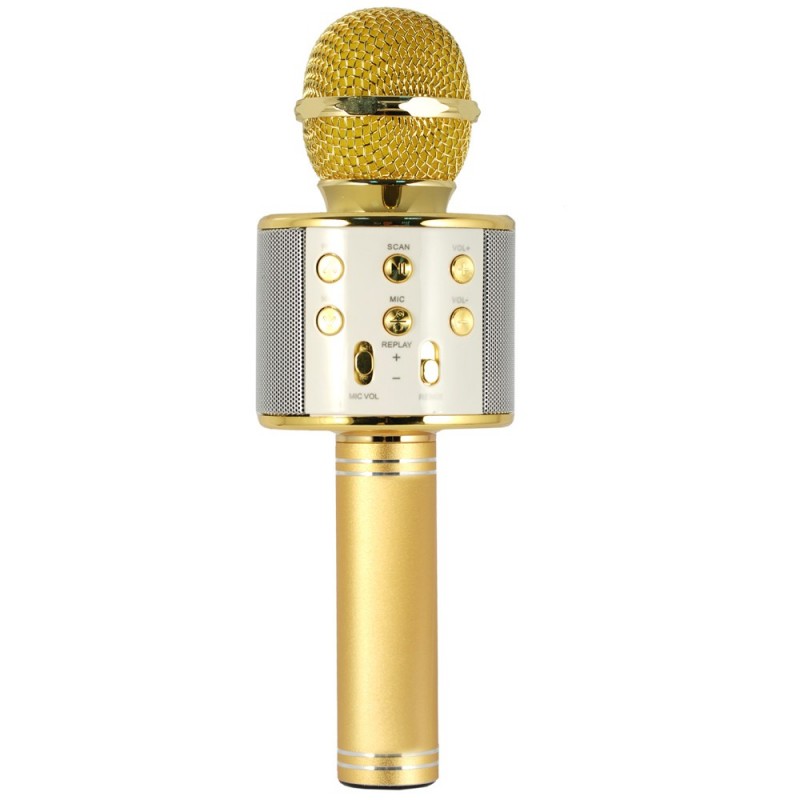 Xtreme Hollywood Gold, Silver Karaoke microphone