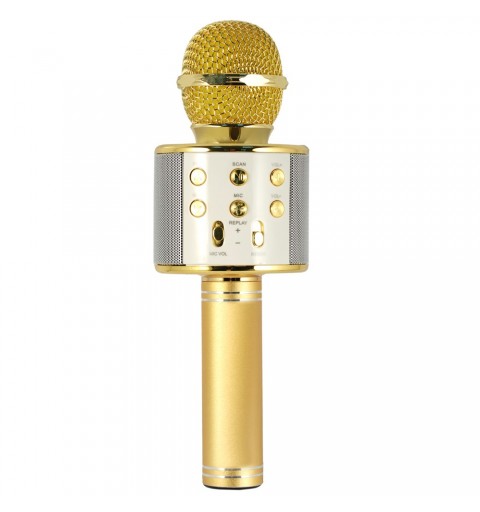 Xtreme Hollywood Gold, Silver Karaoke microphone