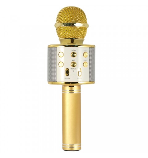 Xtreme Hollywood Or, Argent Microphone de karaoké