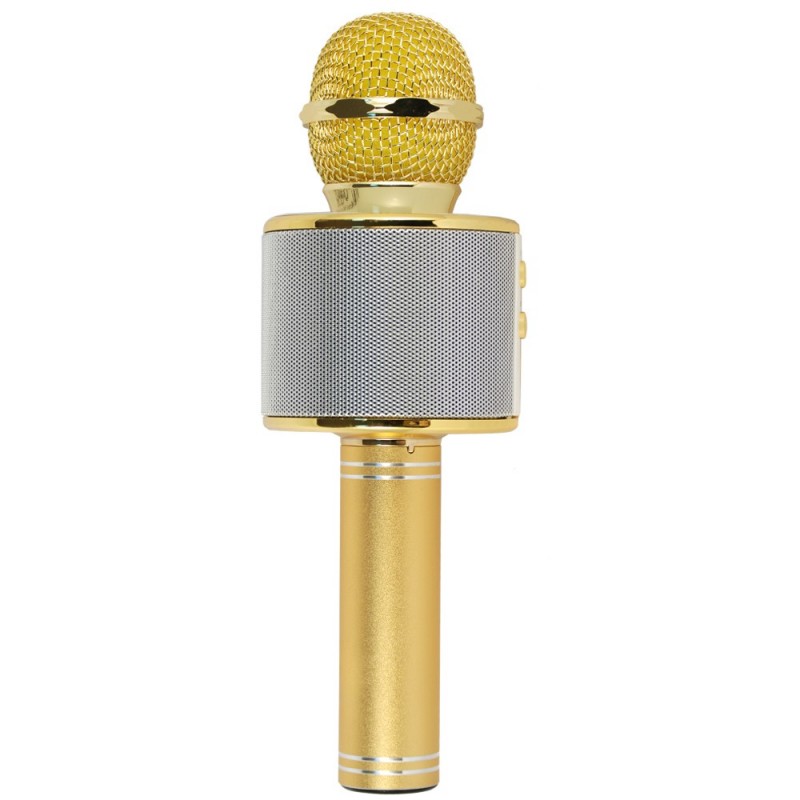 Xtreme Hollywood Gold, Silber Karaoke-Mikrofon