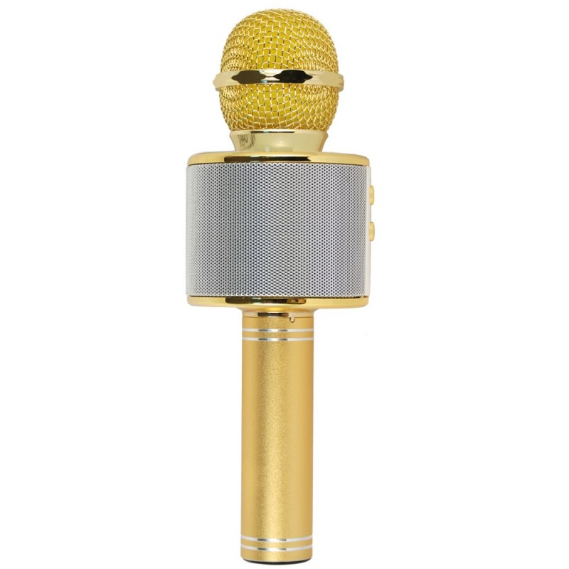 Xtreme Hollywood Gold, Silver Karaoke microphone