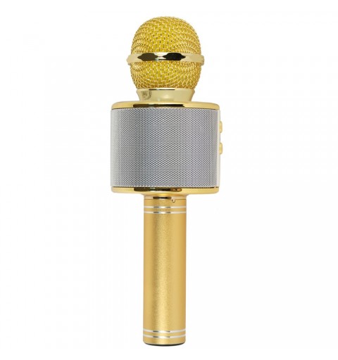 Xtreme Hollywood Gold, Silver Karaoke microphone