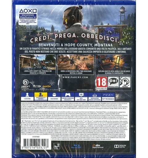 Ubisoft Far Cry 5, PS4 Standard Multilingua PlayStation 4