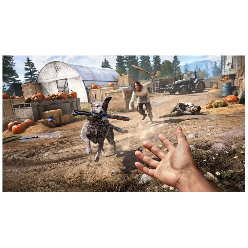 Ubisoft Far Cry 5, PS4 Standard Multilingua PlayStation 4