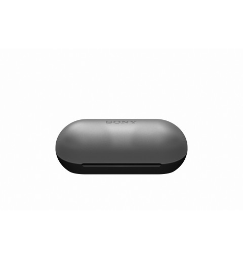 Sony WF-C500 Auriculares True Wireless Stereo (TWS) Dentro de oído Llamadas Música Bluetooth Negro