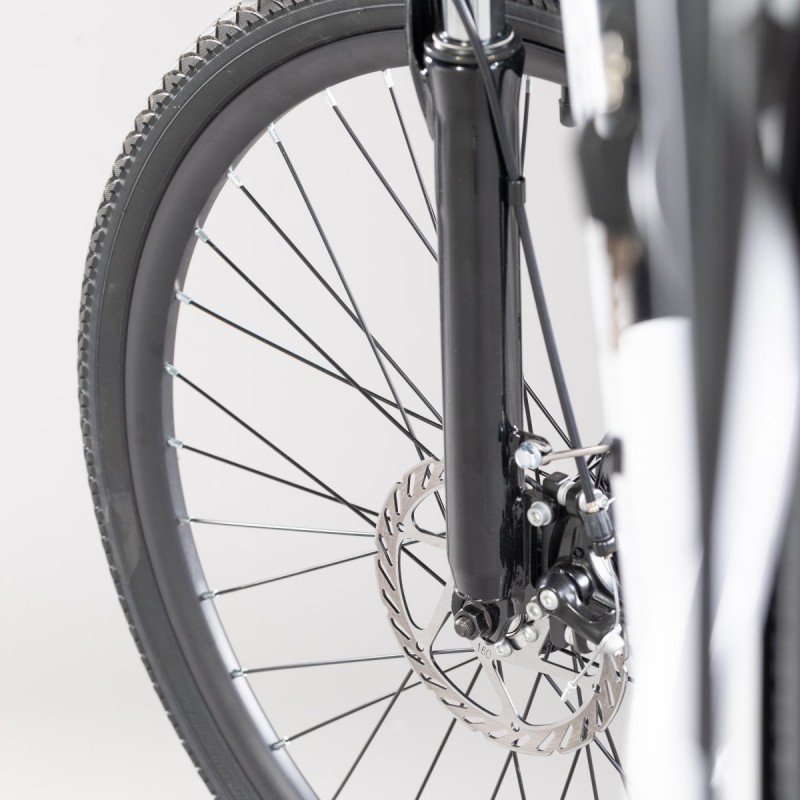 EMG Queen 28L Gris Aluminio 71,1 cm (28") 26 kg Litio