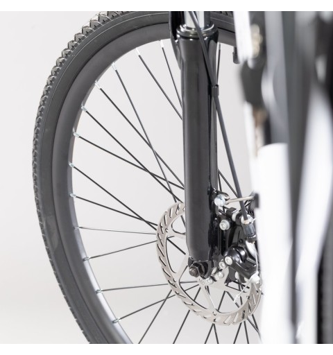 EMG Queen 28L Gris Aluminio 71,1 cm (28") 26 kg Litio