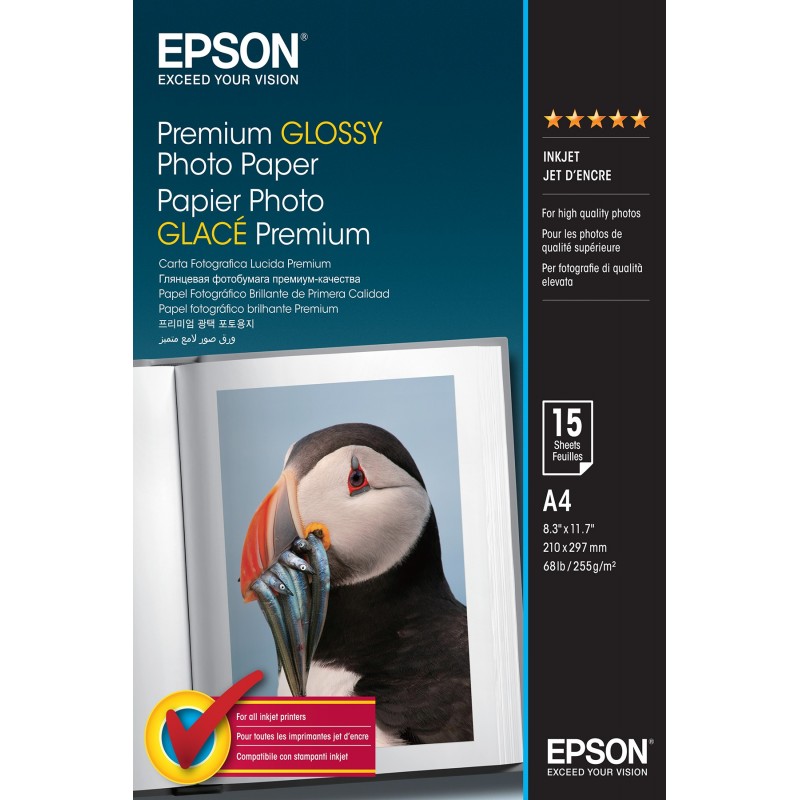 Epson Premium Glossy Photo Paper - A4 - 15 Fogli