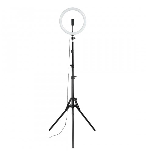 Hama 00004643 photo studio continuous lighting
