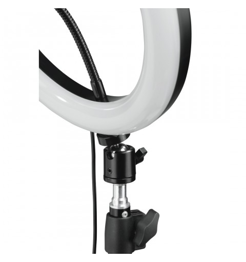 Hama 00004643 illuminazione continua per studio fotografico