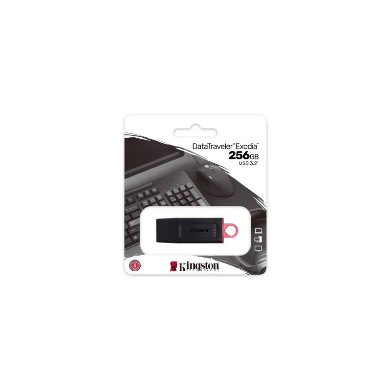 Kingston Pendrive USB-A 3.2 256GB DTX/256GB Nero/Rosa