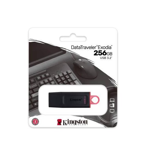 Kingston Pendrive USB-A 3.2 256GB DTX/256GB Nero/Rosa