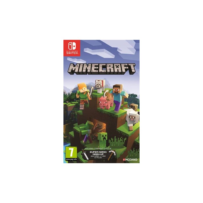 Switch Minecraft