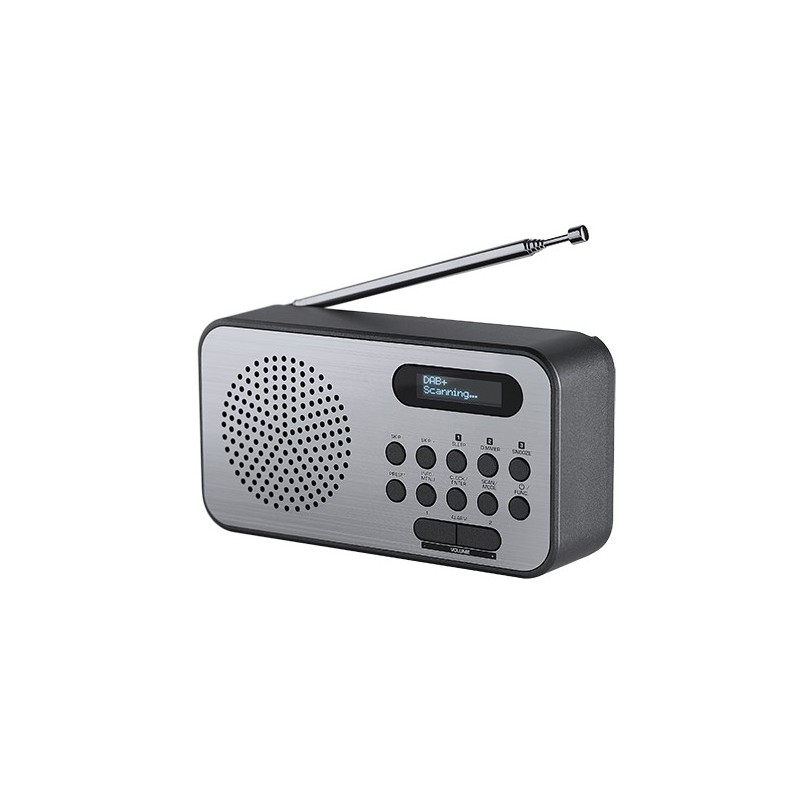 Thomson RT225DAB Radio portable Personnel Numérique Noir, Métallique