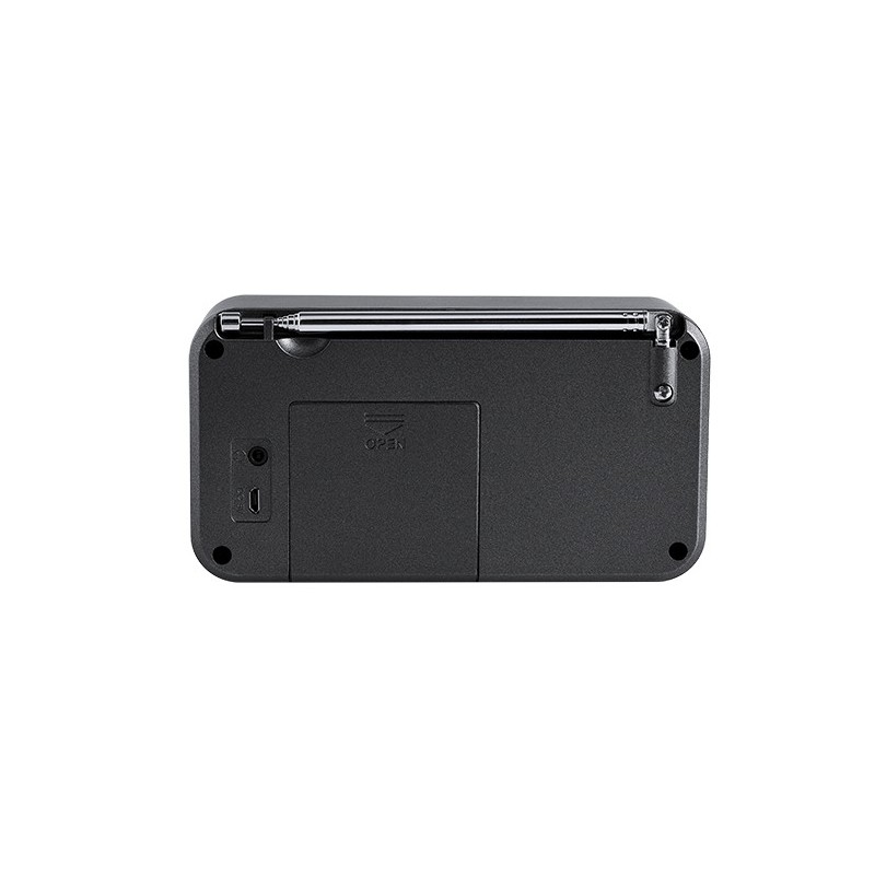 Thomson RT225DAB Radio portable Personnel Numérique Noir, Métallique