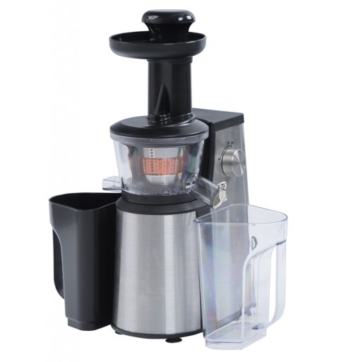 RGV Juice Art New Centrifugeuse lente 400 W Noir, Acier inoxydable