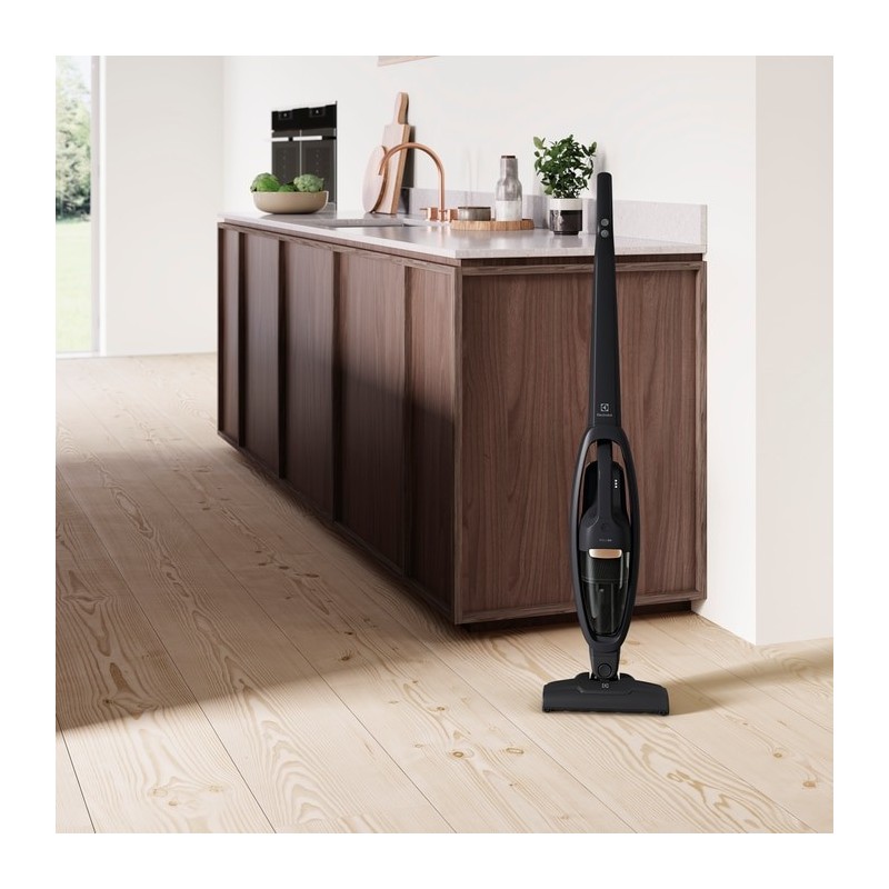 Electrolux WQ61-42GG Senza sacchetto 0,3 L Grigio